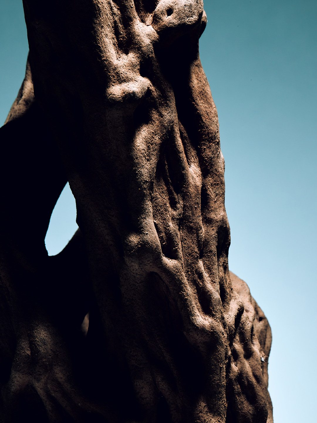 DRAW ANNUAL RING Eau de Parfum 30ml image number 1